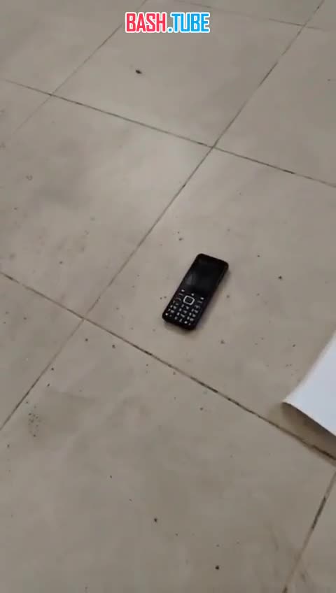  Наглядное объяснение, почему нельзя трогать любые найденные вещи