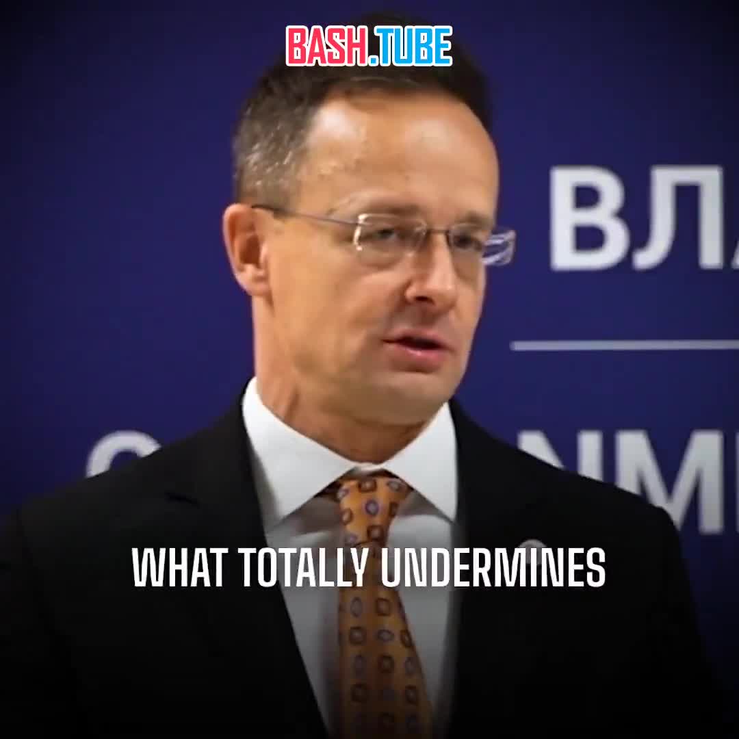  «Да членству Сербии в ЕС! Нет членству Украины в ЕС! Это позиция Венгрии»