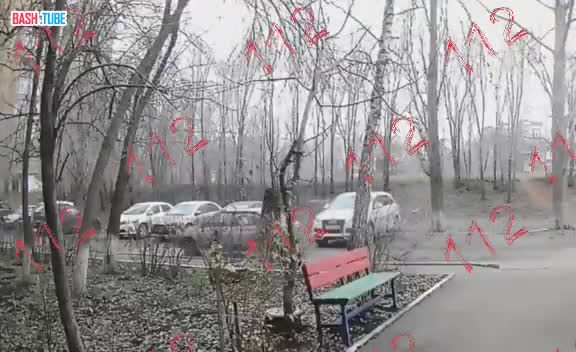  Девушка чуть не погибла из-за упавшего на нее дерева в Оренбурге