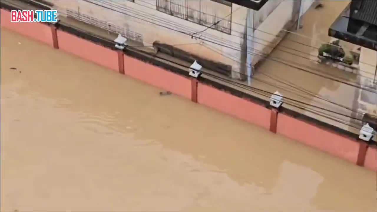  От рекордного наводнения на юге Таиланда спасатели спасают не только людей, но и животных