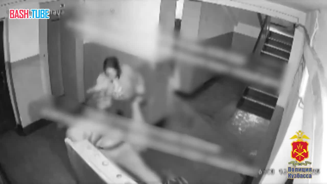  В Новокузнецке мужчина жестоко избил щенка стаффордширского терьера