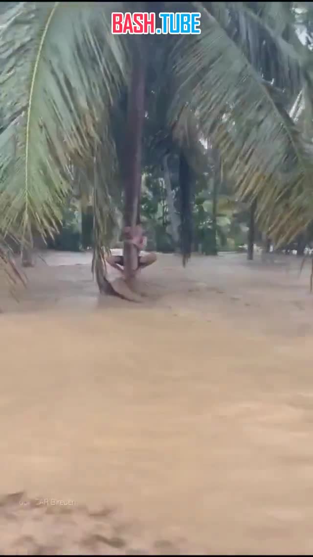  Продолжается спасение людей от наводнения в Индонезии, количество пропавших без вести перевалило за тысячу