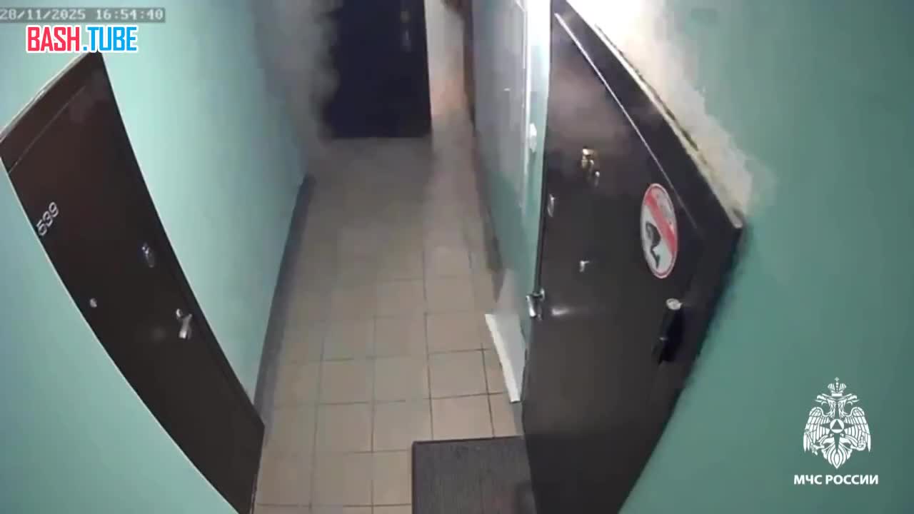  «Дверь выбило ударной волной»: собака устроила взрыв в квартире Новосибирска