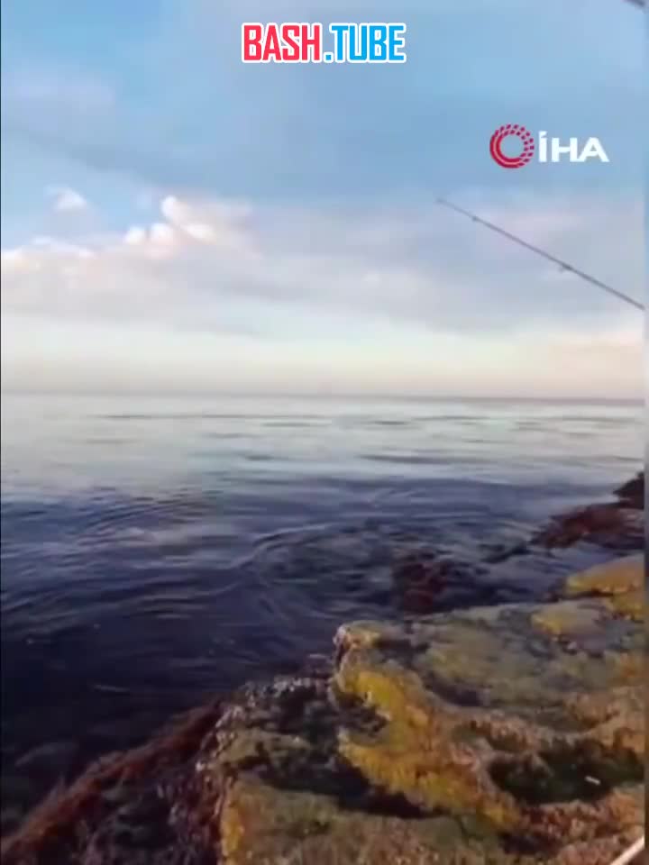  Взрыв на борту стал причиной сильного пожара на танкере Kairos в Черном море