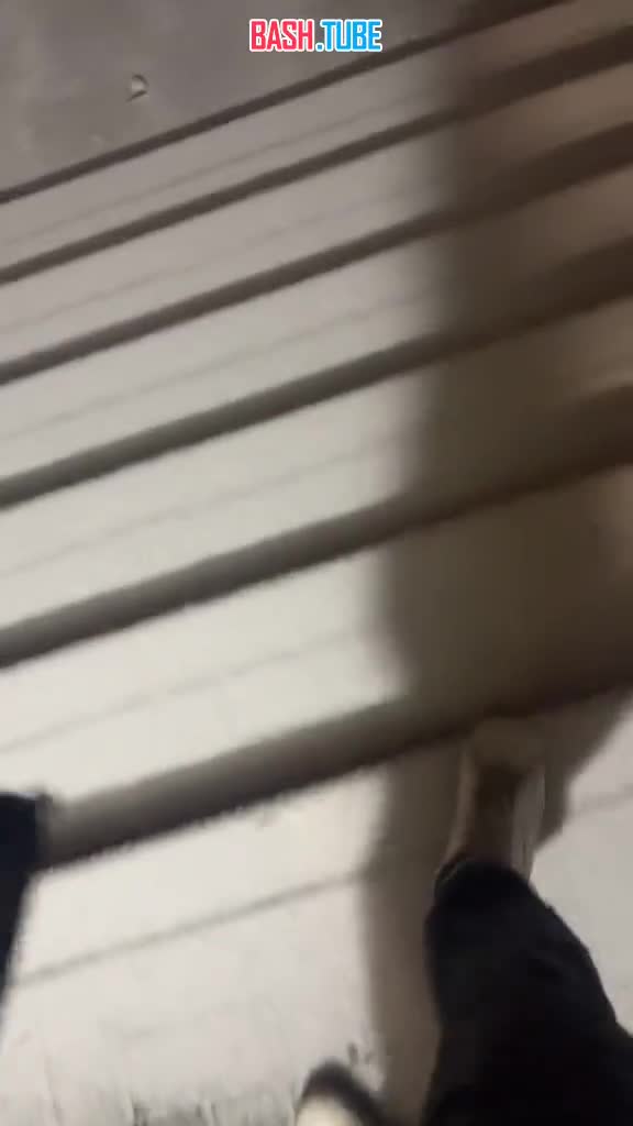  Польский – это такой язык, который ты можешь не знать, но всё равно понимаешь