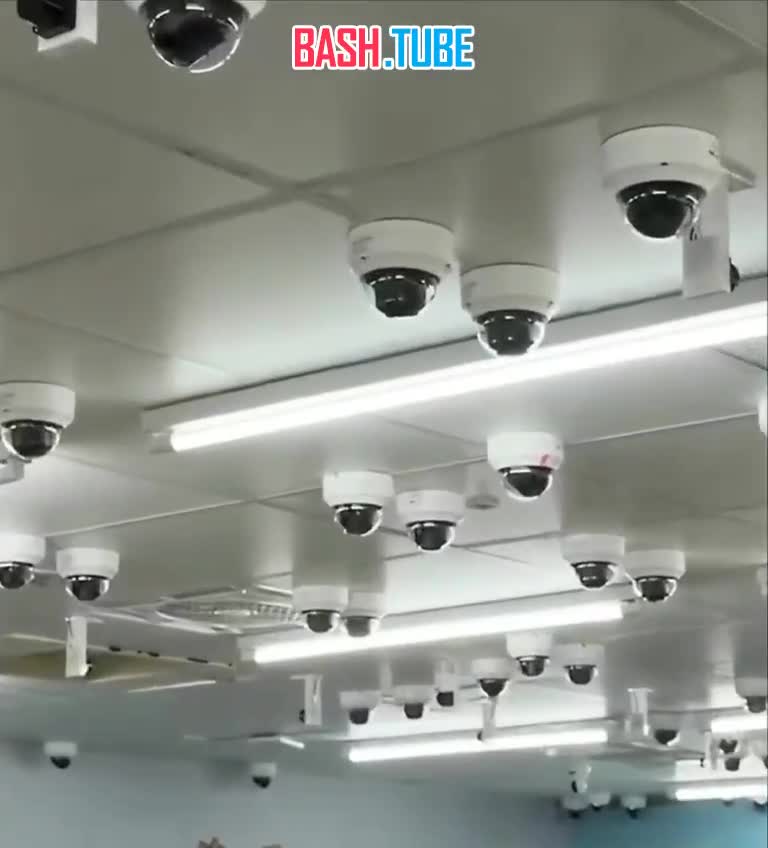  Сеть супермаркетов 7-Eleven запустил свой первый магазин без персонала