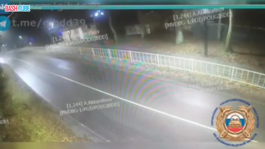  «Додж» вылет с дороги в дерево в Калининградской области, пассажирка погибла