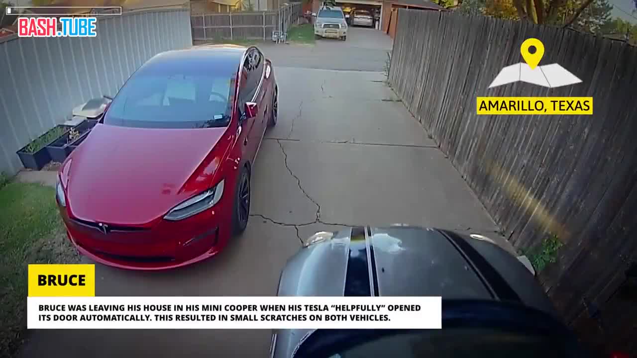  Сцена «ревности» от Tesla завирусилась в соцсетях