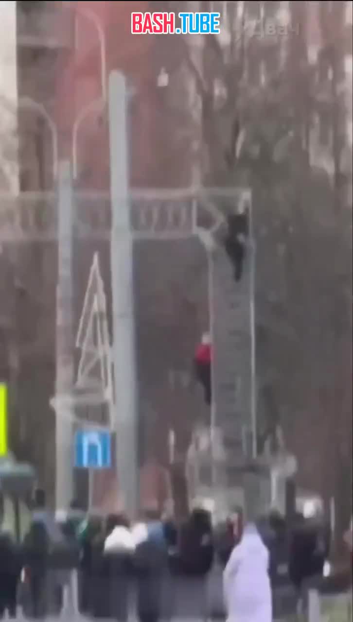  33 зумера-зацепера устроили мощный забег по Питеру