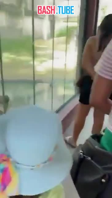  В Бразилии львица растерзала 19-летнего парня, который залез в её вольер в зоопарке