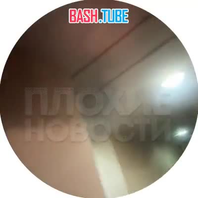  Популярная блогерша под психотропными веществами сожгла съемную квартиру в подмосковных Мытищах