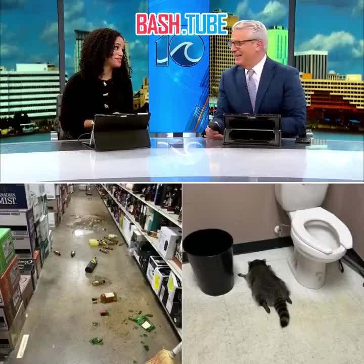  В ту пятницу в Вирджинии енот ворвался в винный магазин, напился и отрубился в туалете