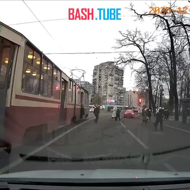  Лиса катается на питерском трамвае и смело выходит на Чёрной речке как любой другой человеческий пассажир