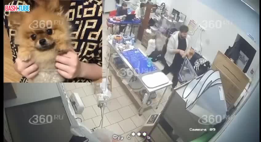  В московской клинике ветеринары 2 часа наблюдали за тем, как умирает собака