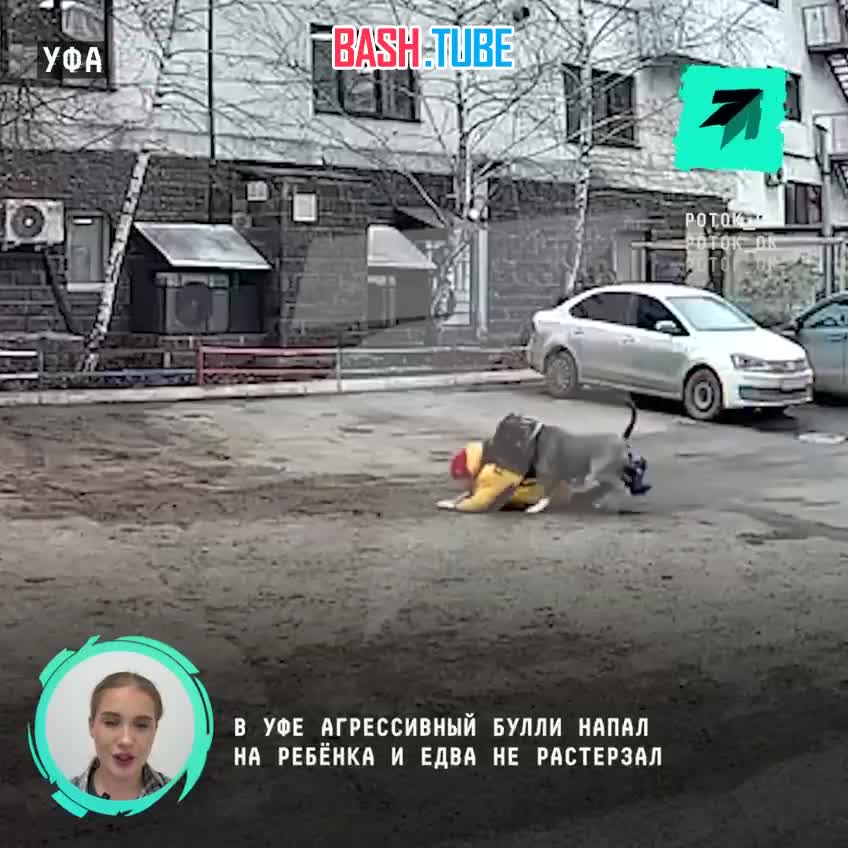  В Уфе агрессивный булли напал на ребёнка и едва не растерзал