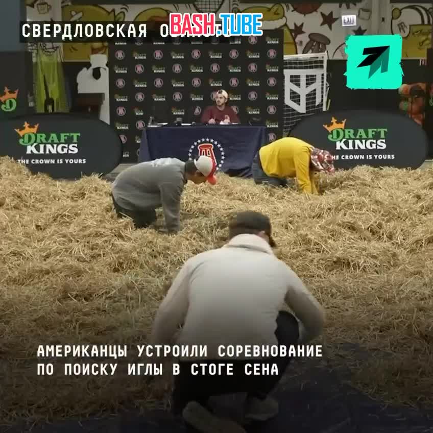 Американцы устроили соревнование по поиску иглы в стоге сена