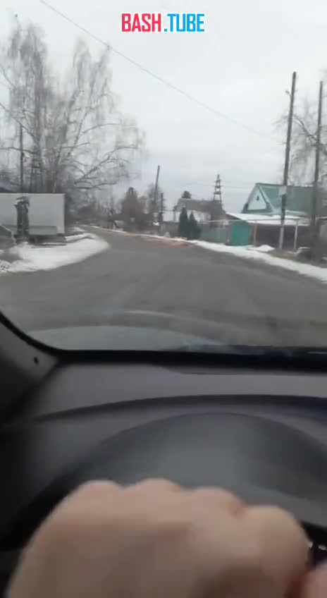  «Пипец какой-то»: гора мертвых кур выпала на дорогу в Свердловской области