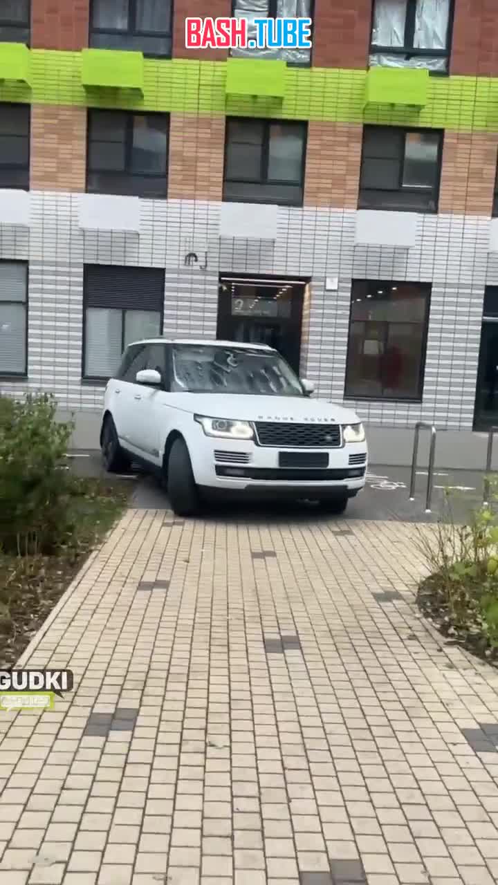  В Москве девушка, выгуливавшая собаку, вступила в спор с мигрантом, который ездил на автомобиле без номеров по тротуару