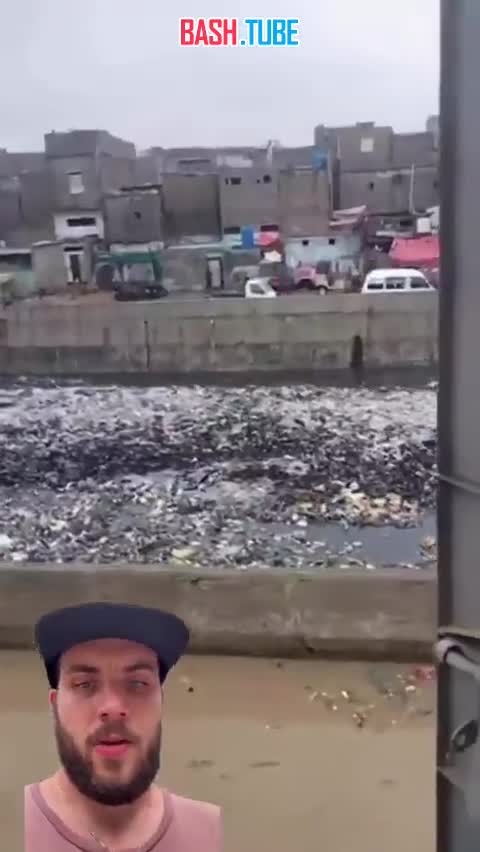  Видео реки мусора в Пакистане шокирует на этой неделе борцов за экологию в европейском сегменте соцсетей