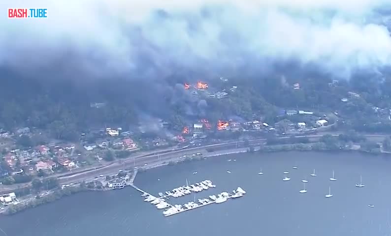  Лесные пожары бушуют в Австралии