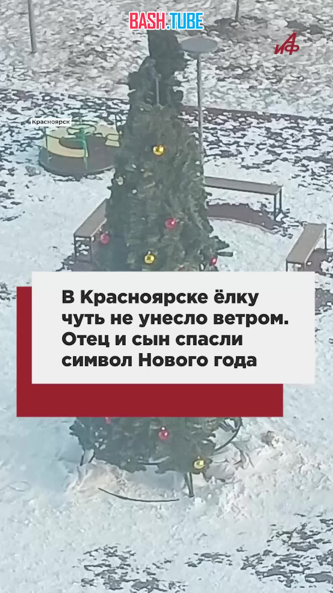  В Красноярске ёлку чуть не унесло ветром. Отец и сын спасли символ Нового года