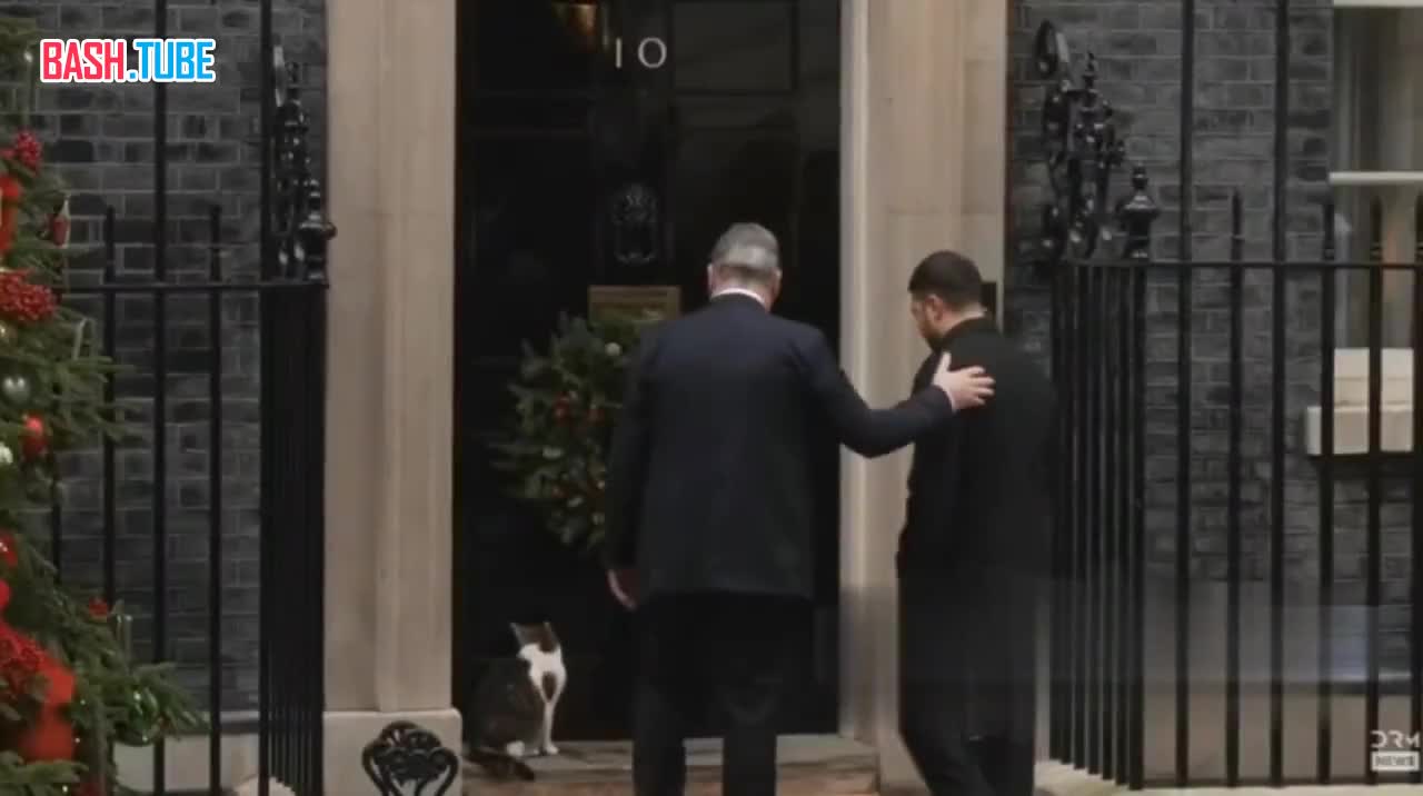  Кот Ларри, служащий главным мышеловом в доме премьера Англии, отказался заходить в дом вместе с Зеленским