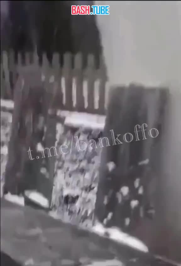  Крупную сумму денег нашёл в желудке коровы башкирский фермер