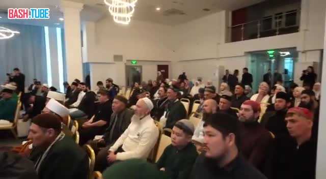  Муфтии выступили против никабов и публичных намазов