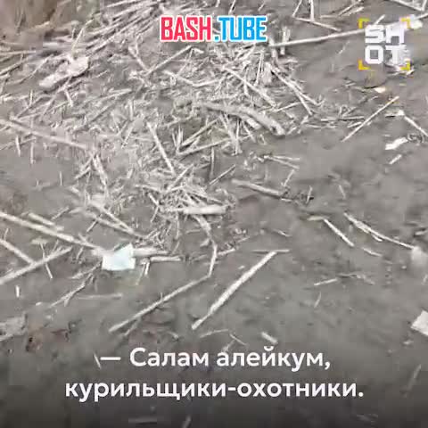  Тысячи пачек грузинских сигарет выбросило на берег в Дагестане