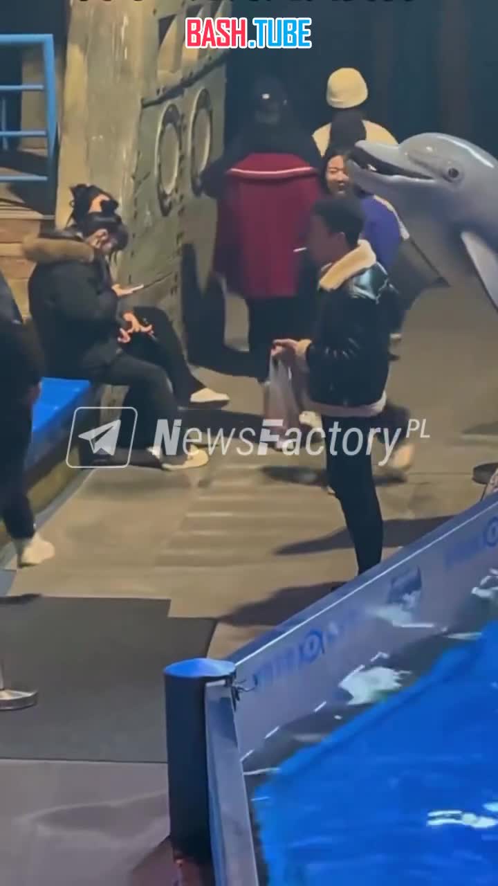  Белуха в Китае «наказала» курильщика - потушила его сигарету струей воды в океанариуме в Даляне