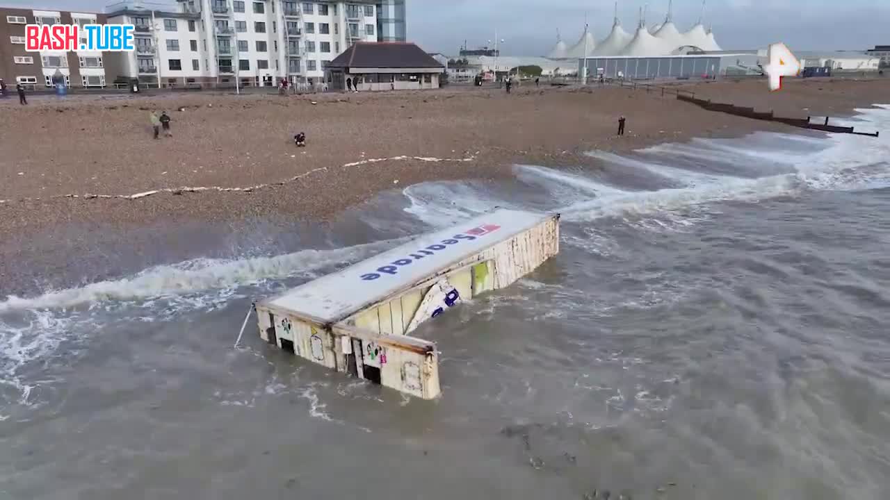  Побережье Великобритании превратилось в тропической рынок: тысячи бананов выбросило на берег после аварии на грузовом судне
