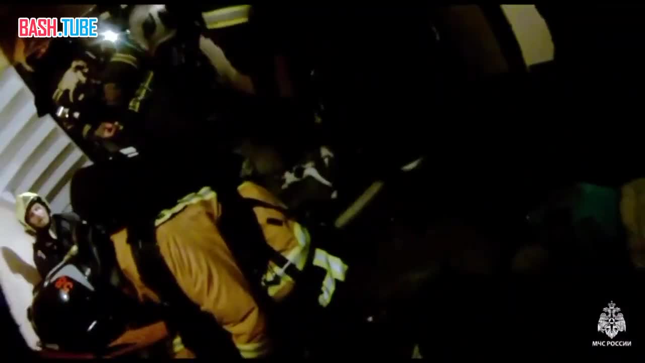  Десять домашних животных спасли из горящей квартиры на Витебском проспекте - трогательные кадры появились в сети