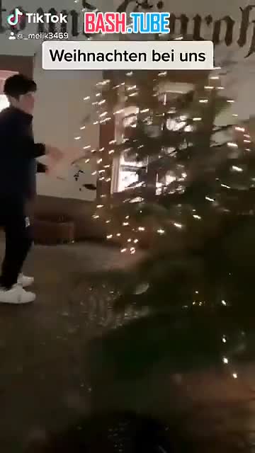  В Германии отпрыски исламистов сносят новогодние елки установленные на улицах города