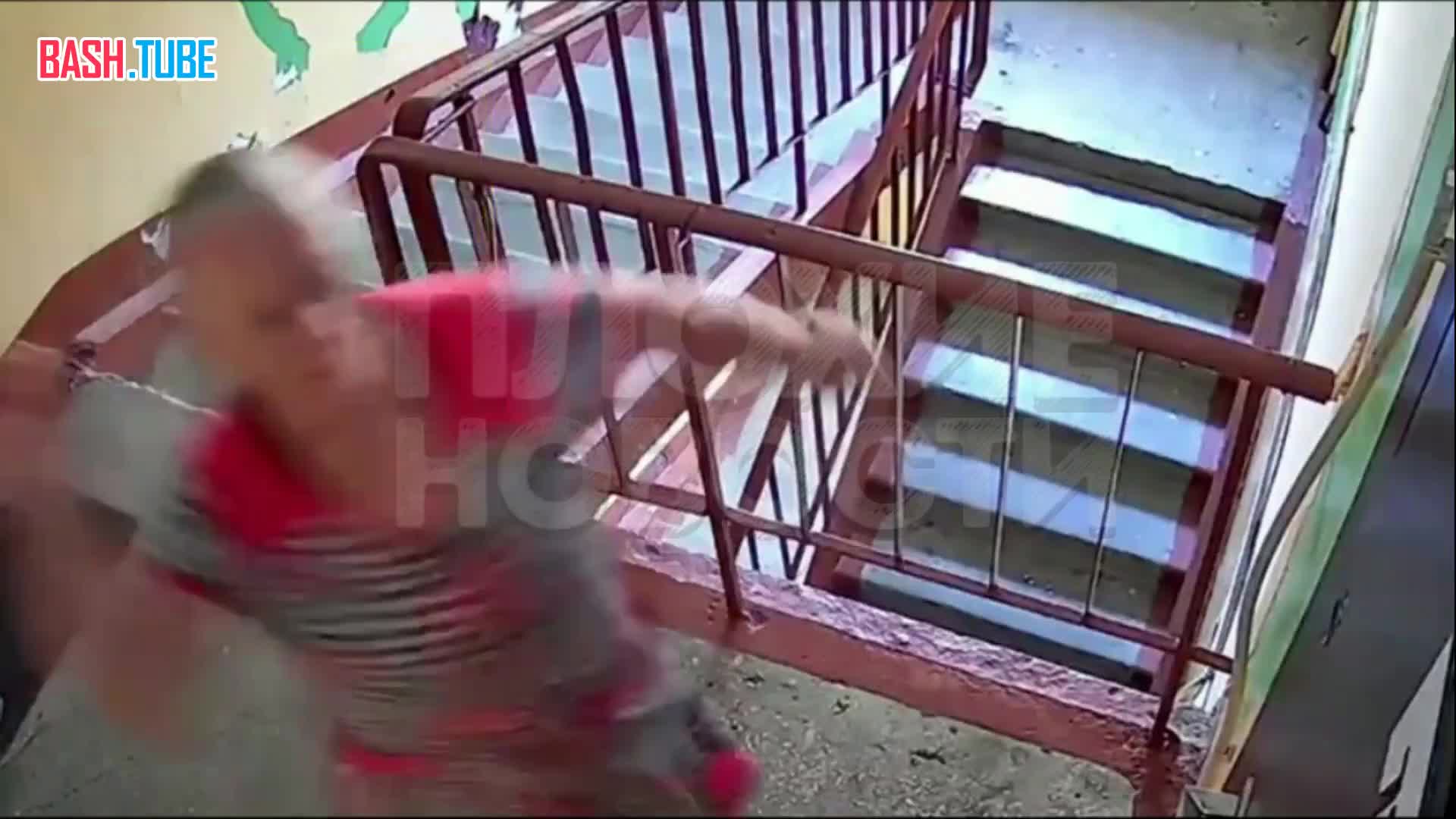  Во Владивостоке мстительная пенсионерка закидала соседей яйцами после того, как они вызвали к ней санитаров из-за шума