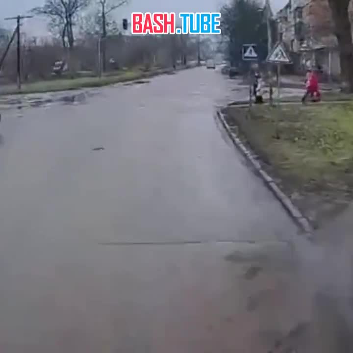  Маленькую девочку и ее маму сбил полицейский экипаж