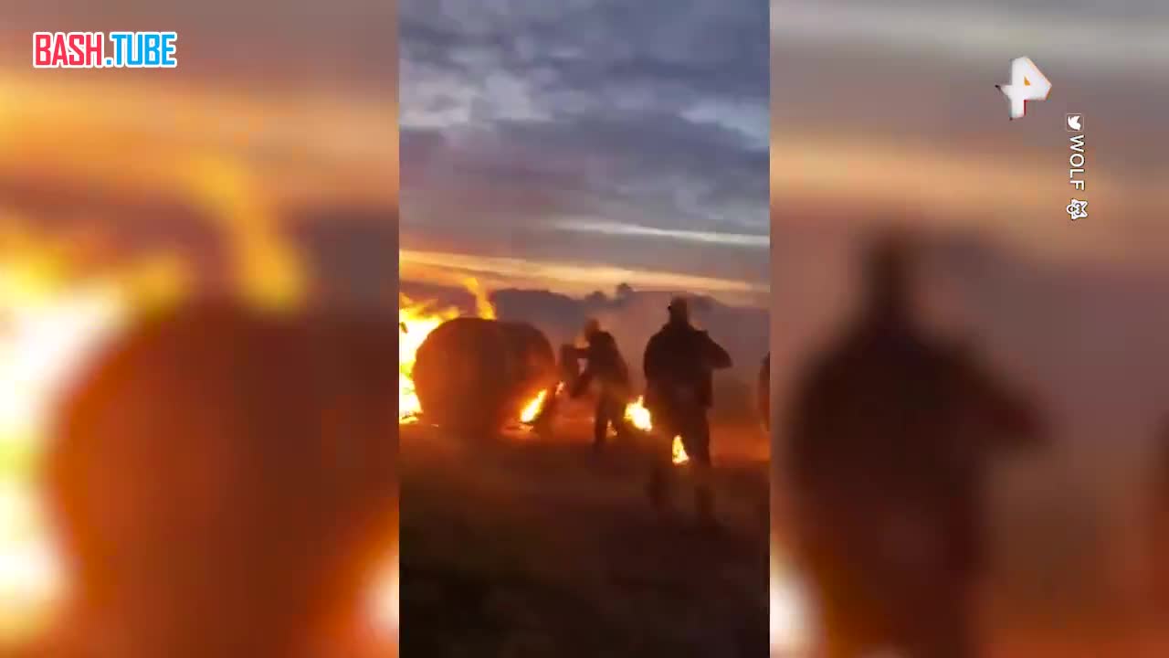  Во Франции фермеры сцепились с жандармами, спасая от гибели своих животных