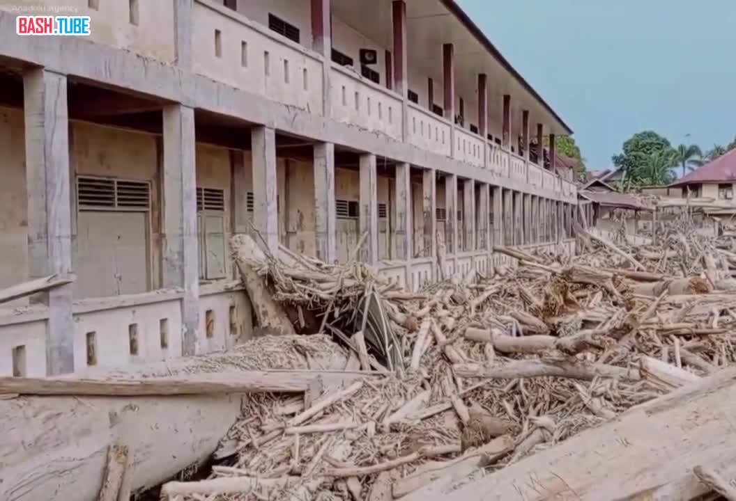  В Индонезии число жертв наводнений выросло до тысячи, - Xinhua