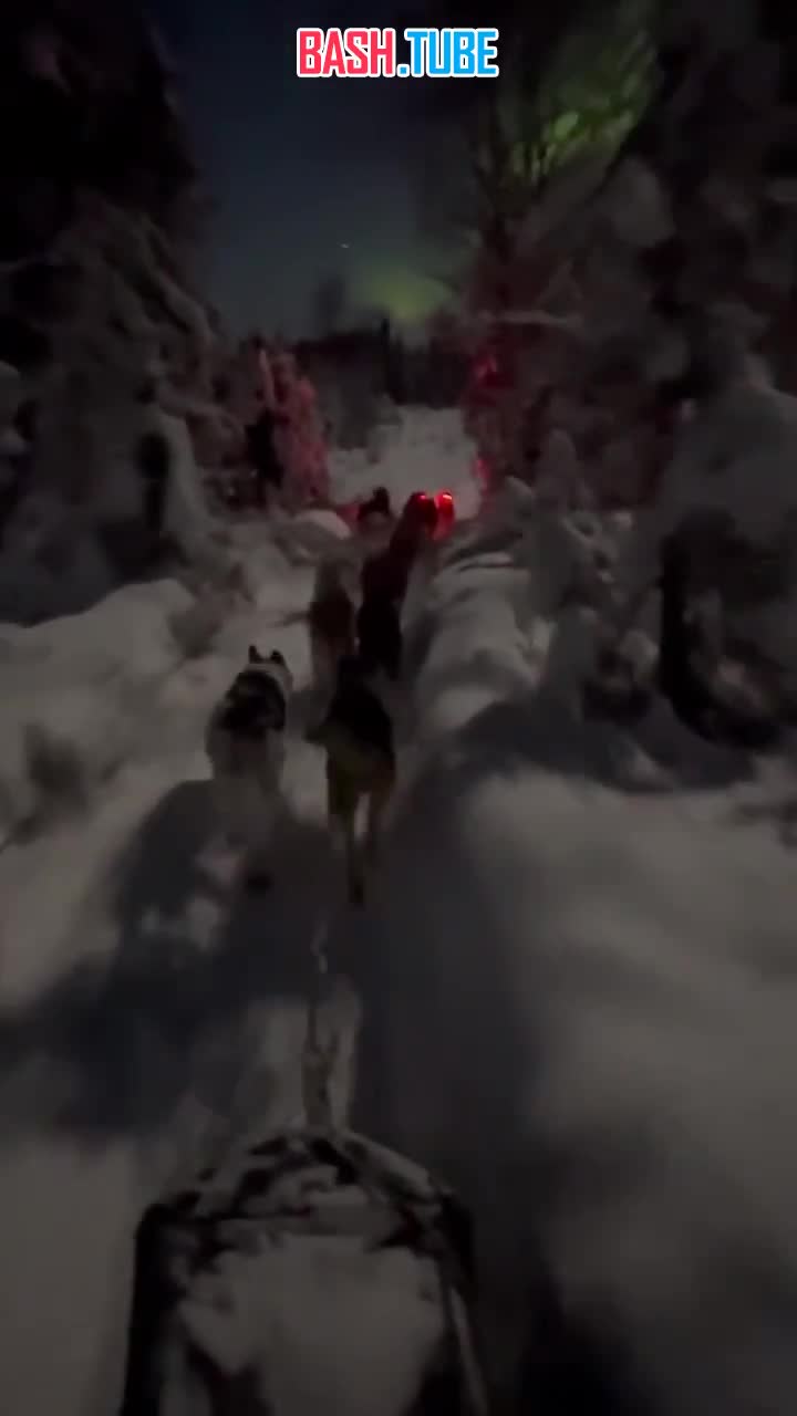  Самое красивое зимнее видео заснял житель Аляски