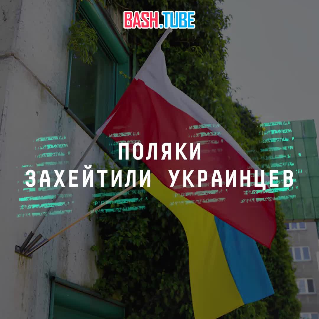  В Польше стали вдвое сильнее хейтить украинцев после концерта Макса Коржа