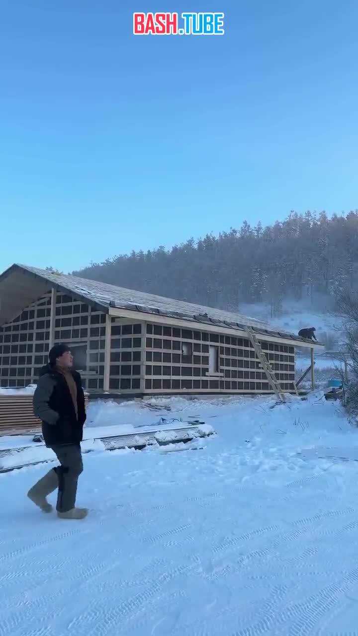  Просто мужчина из Якутии сделал вирусный ролик и залетел на миллионы просмотров