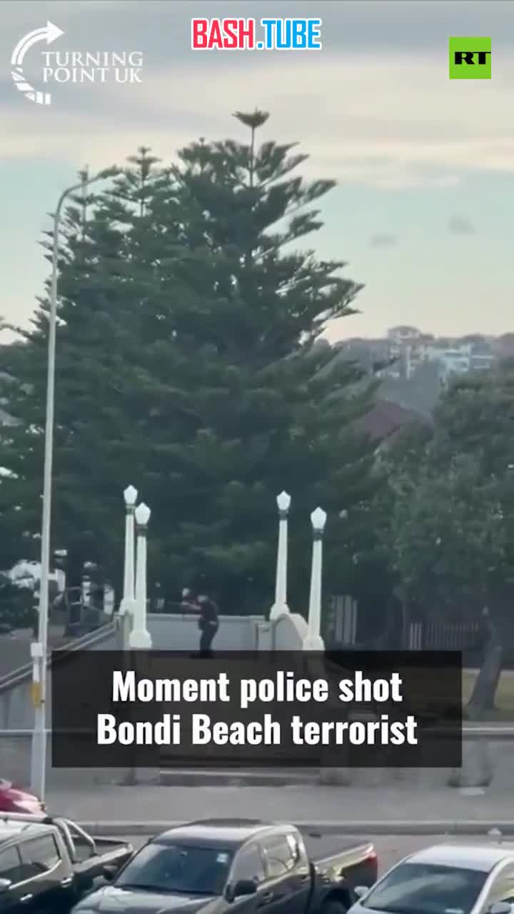  Перестрелка одного из террористов в Сиднее с полицией - с другого ракурса