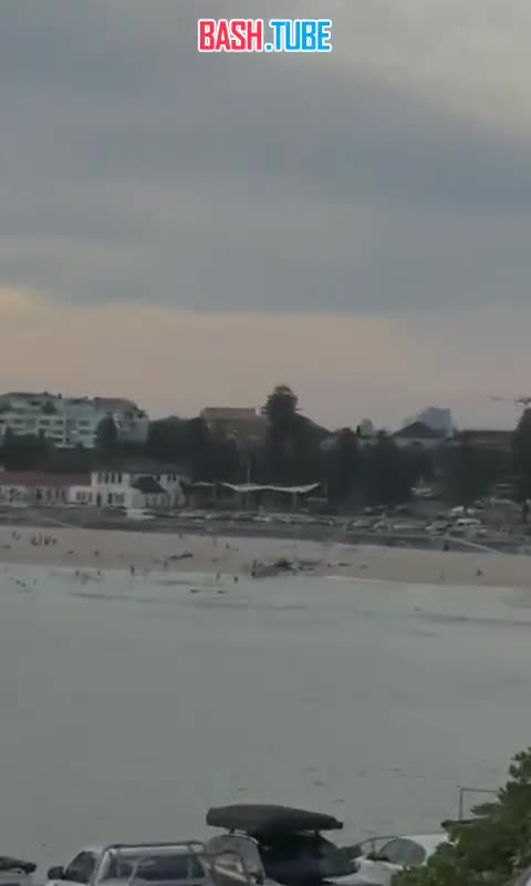  Теракт в Австралии: террористы расстреляли людей на пляже Бонди в Сиднее - есть погибшие и множество раненных