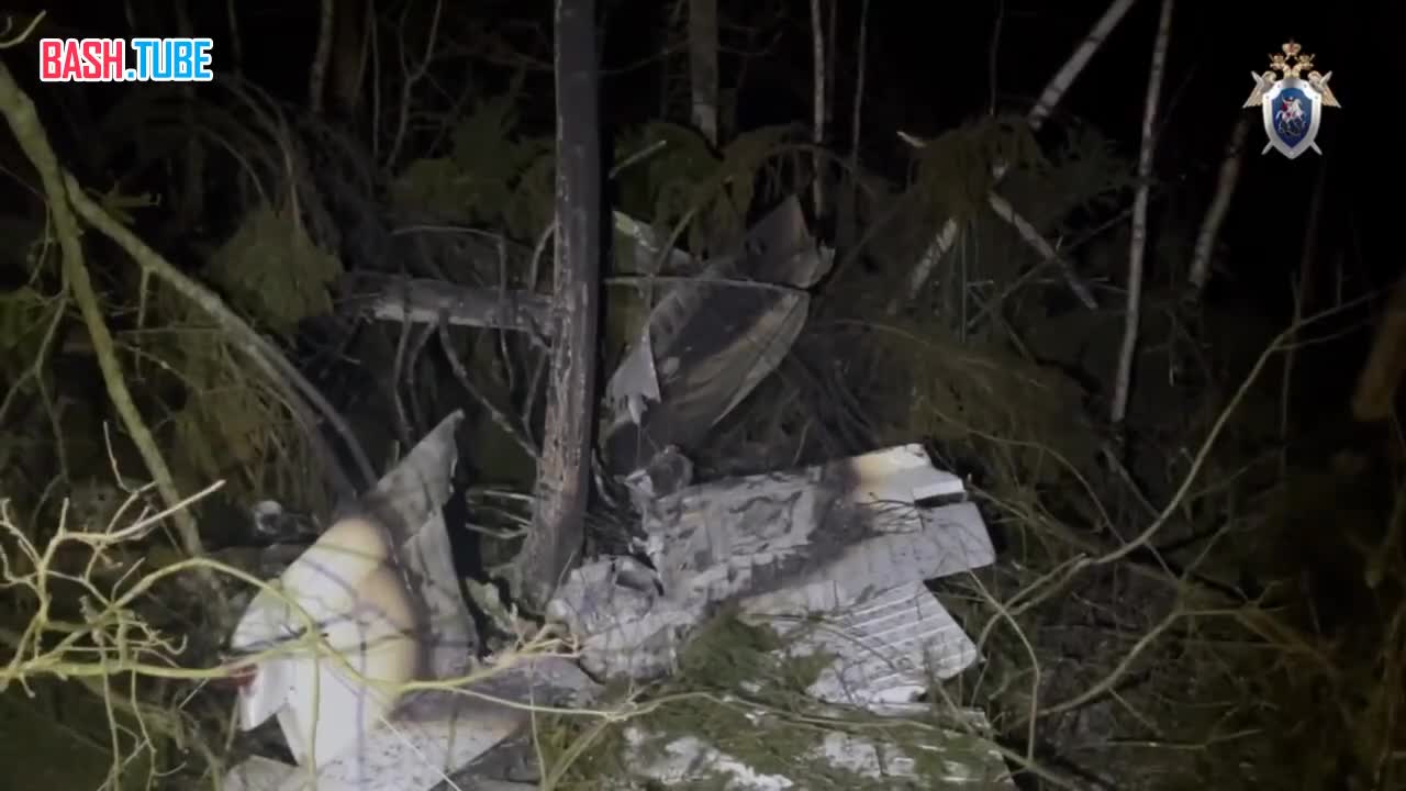  Кадры с места крушения легкомоторного самолета в Московской области опубликовали западные СУ СК РФ