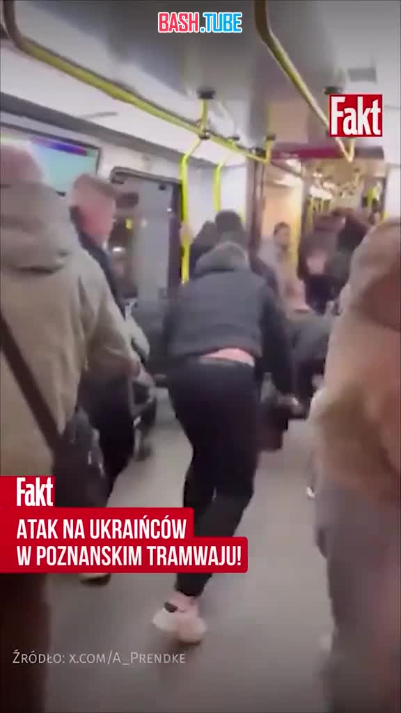  Украинцев в Польше избили за разговор на «мове»