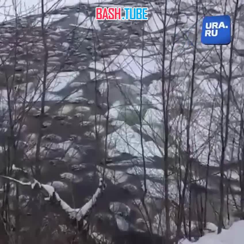  Больше 200 овец провалились под лед в Башкирии - фермер пытался перегнать стадо через озеро