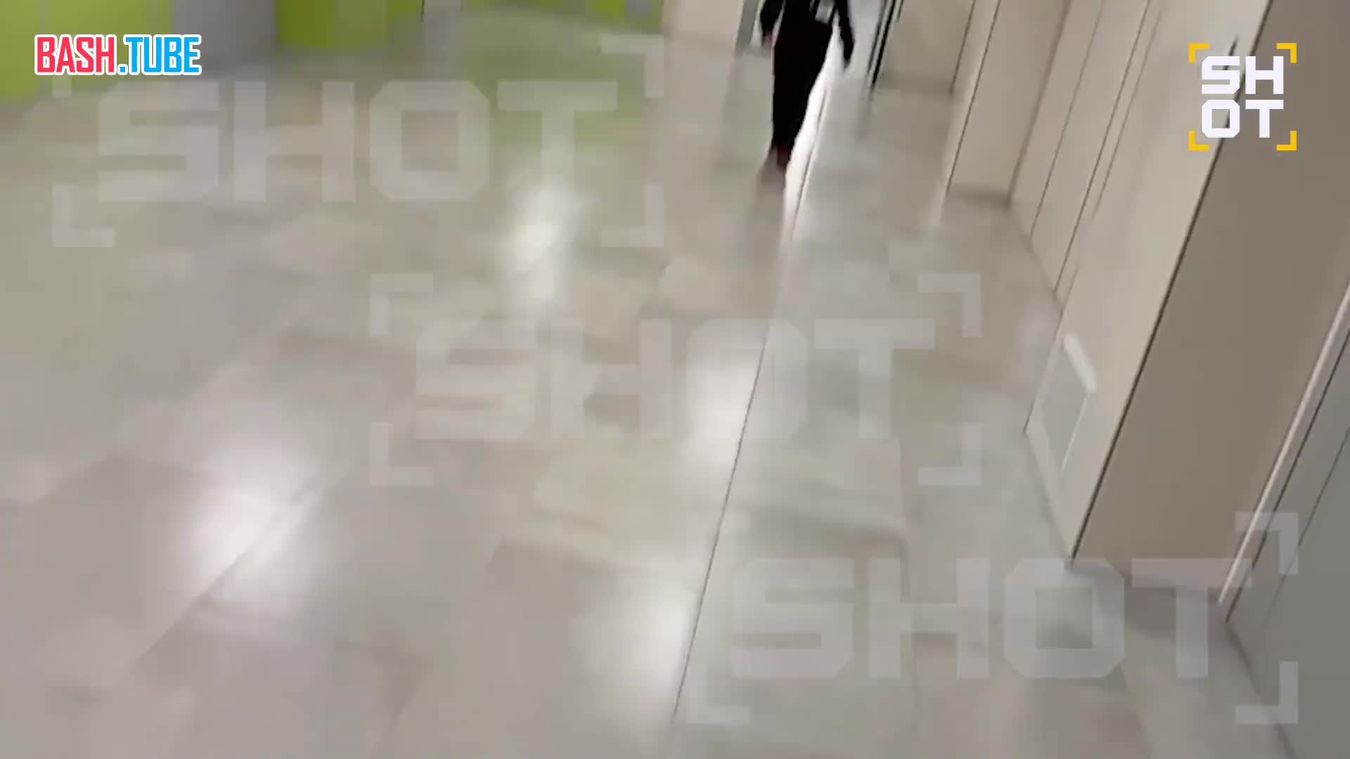  Момент нападения безумного подростка на охранника в Успенской школе