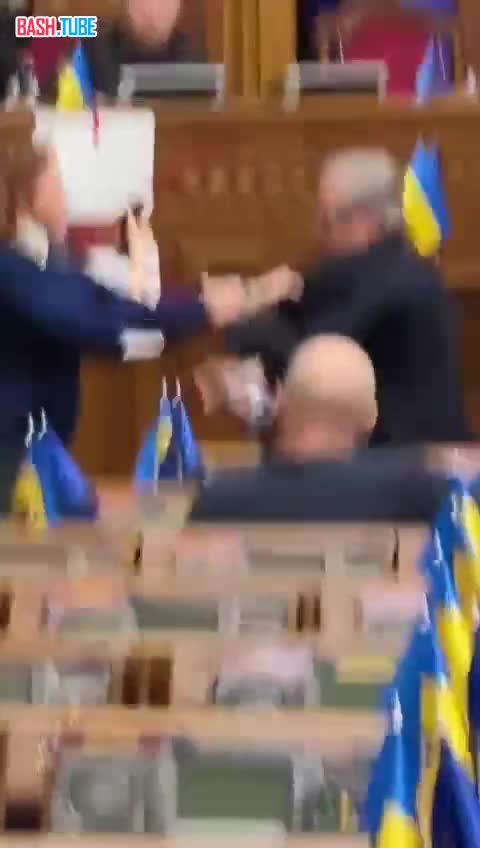  Потасовка депутатов Верховной рады Украины Марьяны Безуглой и Сергея Таруты