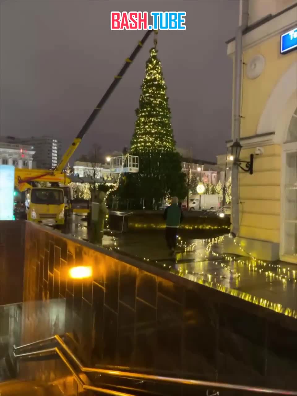  В сети показали, как просто и быстро украшают большие елки в Москве