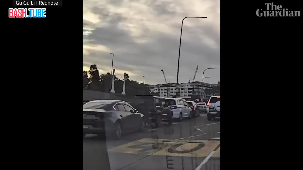  Премьер Австралии Альбанезе назвал героями русскоязычных соотечественников, пытавшихся помешать теракту в Сиднее