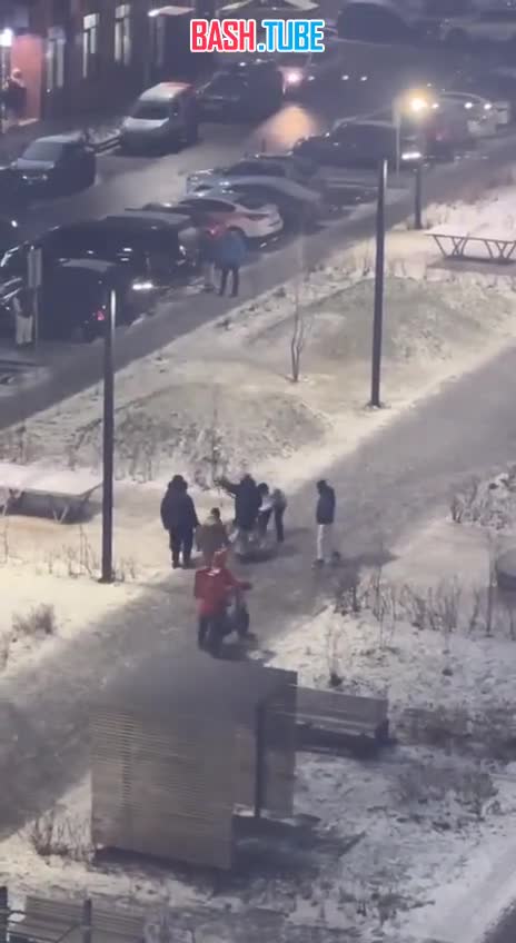  В Подмосковье бойцовская собака сорвалась с поводка и бросилась на другую собаку, хозяева которой проходили неподалеку